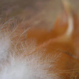 Photocopia Week 3 - Textures