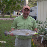 Very nice fat trout caught on a Gecko Big-Eyed Mullet