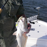 Zac with a solid red on a glow Devil