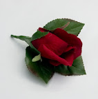 CRW_3279.jpg