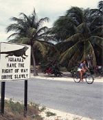 road sign