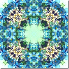 blueflowers1
