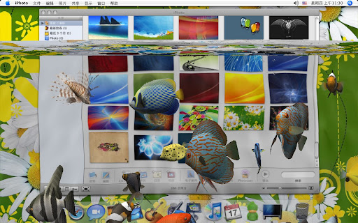 Mac OS X 精美屏保
