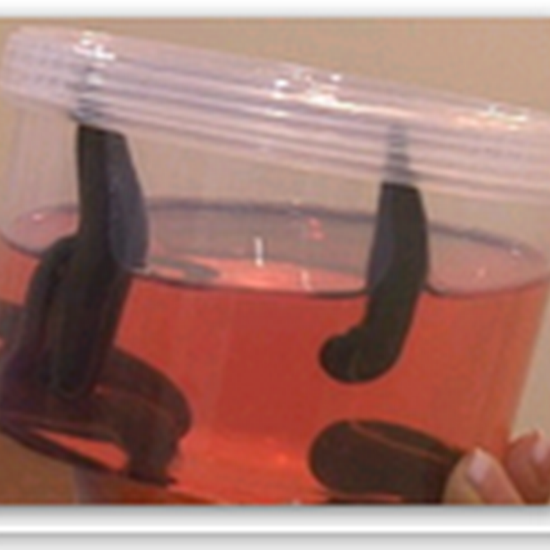Some Docs Latching Onto Leeches