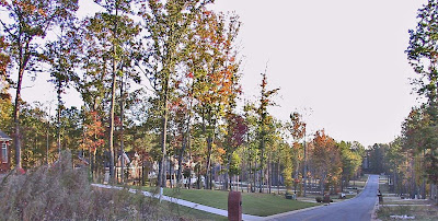Quality homes on acre plus lots front this quiet Grandview Cove street on both sides