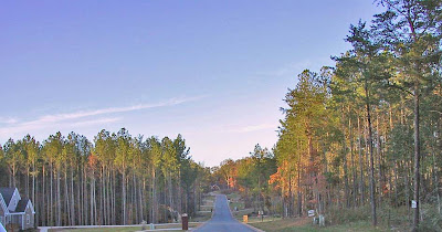 Heartpine Lane in Grandview Cove Subdivision, Jasper, GA