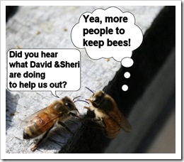 Bee Talk