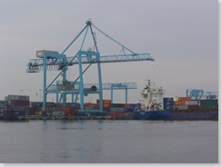 P1020388