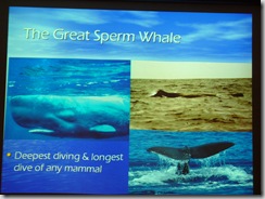 P1020470