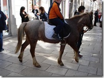 DSC00699 (Small)