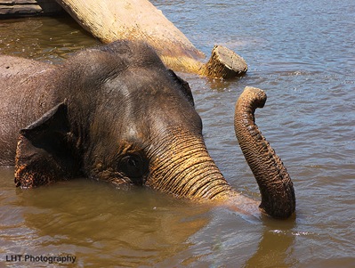 AustraliaZoo_24_10_2007 161_WATERMARKED