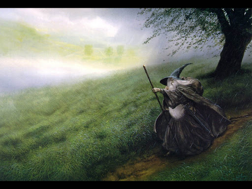 http://lh4.google.com/LisaSmirnoff/Rtm9G7KXmLI/AAAAAAAABtM/5pxDWtPz940/Gandalf.jpg?imgmax=512