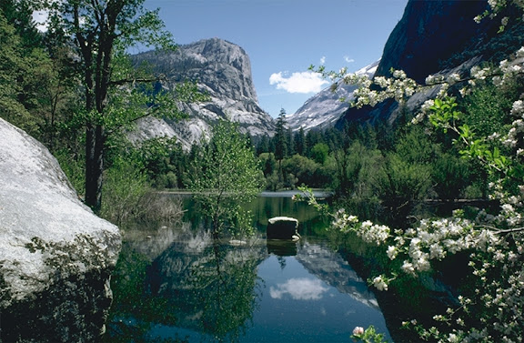 http://lh4.google.com/LisaSmirnoff/Rtng77KXpvI/AAAAAAAACLA/HWABpNrtDII/Pg1_l004.jpg?imgmax=576