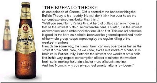 the_buffalo_theor1_1