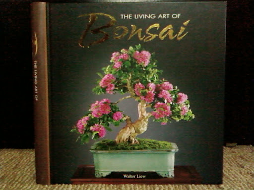 www.RickNakama.com bonsai master walter liew dragon garden living art of bonsai book