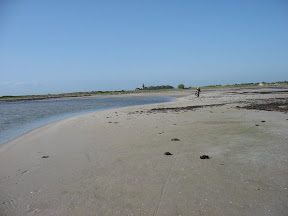Het zuidelijkste puntje van Falsterbo