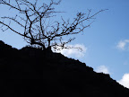 Near Longmynd