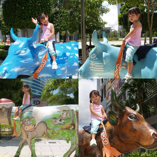 So many cows to ride!