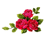 gif rosas