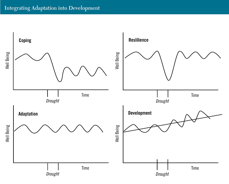 Adaptations Of A Fox. adaptation grasslands