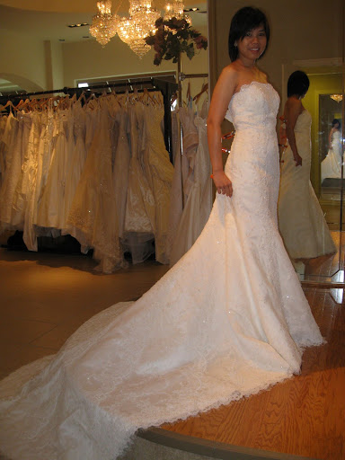 Lace Wedding Gown Image