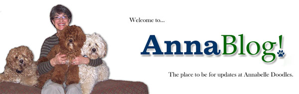 AnnaBlog Home