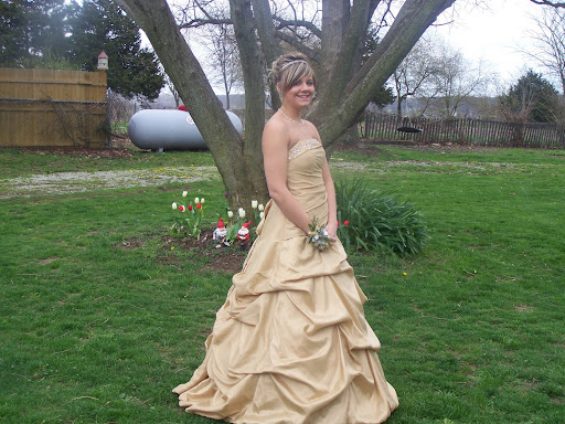 Cortney' plus size prom dress/gown 2009