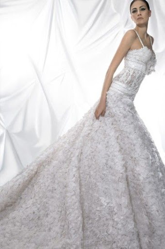 Famous Bridal Gowns 2010