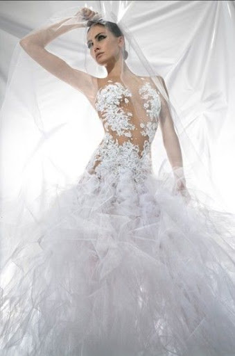 Sexy Sheer Wedding Gown