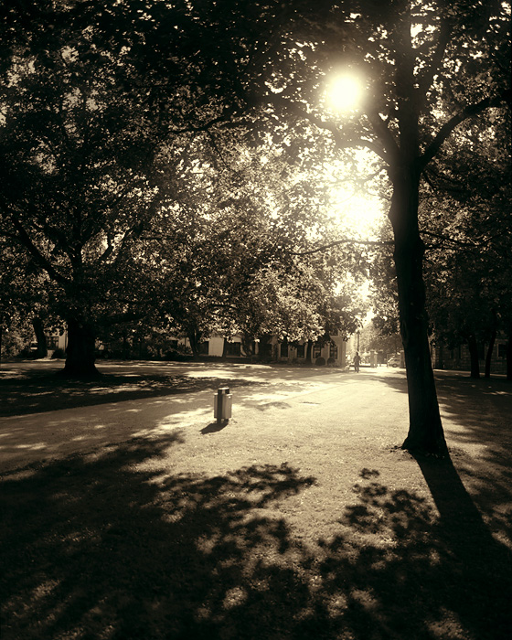 schlosspark, erlangen, germany - photo by Joselito Briones