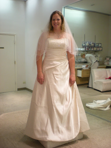 Plus-Size-Champagne-Wedding-Gown