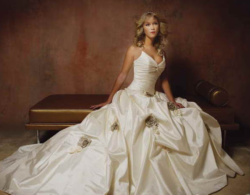 elegant ivory wedding gown/bridal dress elegant ivory wedding gown/bridal dress