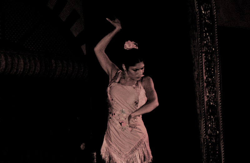flamenco 4; click for previous post