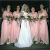 Vintage Pink Bridesmaid Dresses Shown