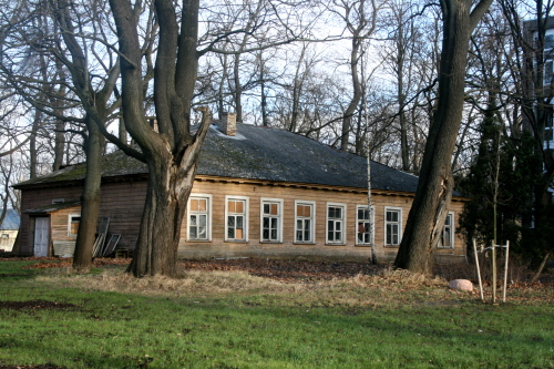 maaja.jpg