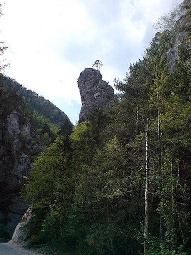 Igla