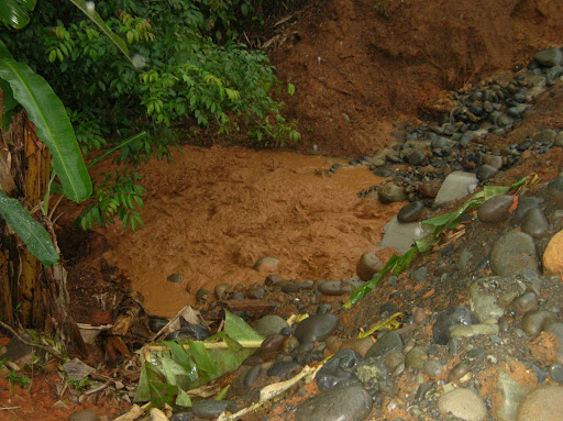 Toneladas de sedimentos que van al Rio Changuinola y al Rio Risco