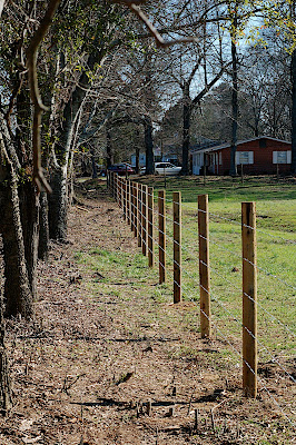 fence