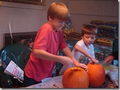 summer-fall 046