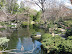 2007-01-JapaneseGarden-13.jpg