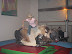 2006-12-Silvester-011.jpg