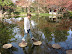 2006-01-JapaneseGarden-06.jpg