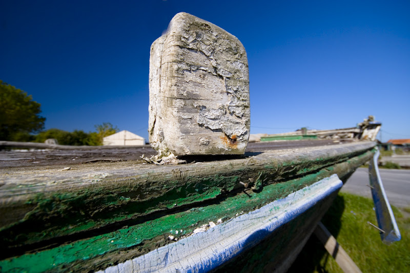 IMAGE: http://lh4.google.com/alistairksmith/Ru7duclMd6I/AAAAAAAACiY/SJ6oIDrZCos/s800/IMG_8455.jpg