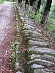 PICT0006