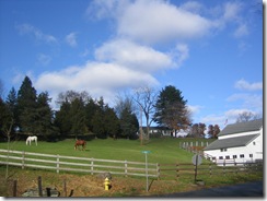 Thanksgiving07 067