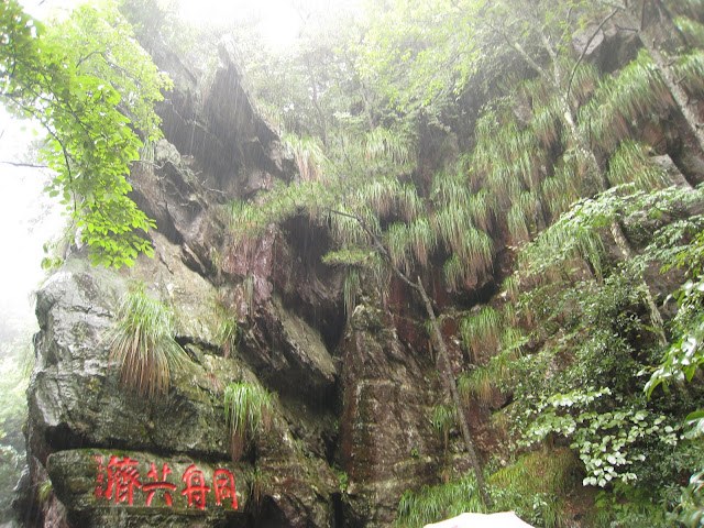 http://lh4.google.com/anikox/RtQSYmLJlKI/AAAAAAAAAr8/6TxUiKjYURU/IMG_0824.JPG?imgmax=640