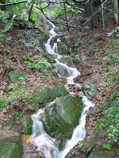 http://lh4.google.com/anikox/RtQWbmLJmBI/AAAAAAAAAzE/gBDBkasel9o/IMG_0931.JPG?imgmax=512