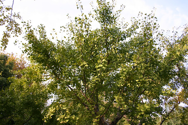 http://lh4.google.com/anikox/Rzfq3jP-1hI/AAAAAAAABVw/TNvcg9JyGrY/IMG_0138.jpg?imgmax=640