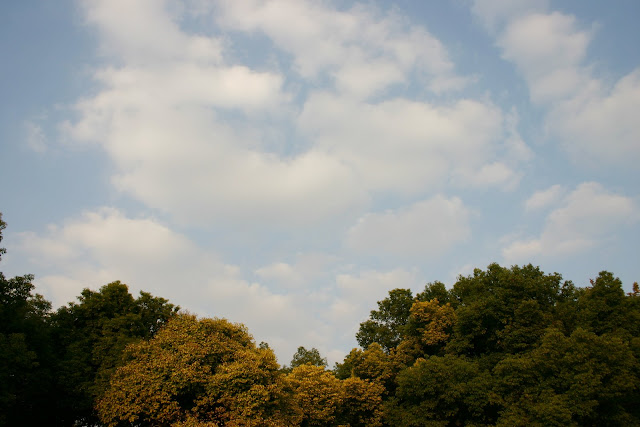 http://lh4.google.com/anikox/Rzfr9jP-17I/AAAAAAAABZI/YydFtLy7f7A/IMG_0191.jpg?imgmax=640