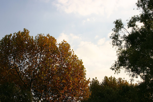http://lh4.google.com/anikox/RzfrQjP-1qI/AAAAAAAABW8/SlCsMXQYiYw/IMG_0155.jpg?imgmax=640